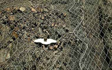 邊坡防護勾花網