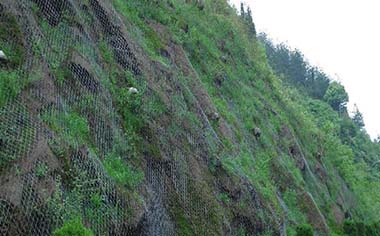 綠化勾花網(wǎng)