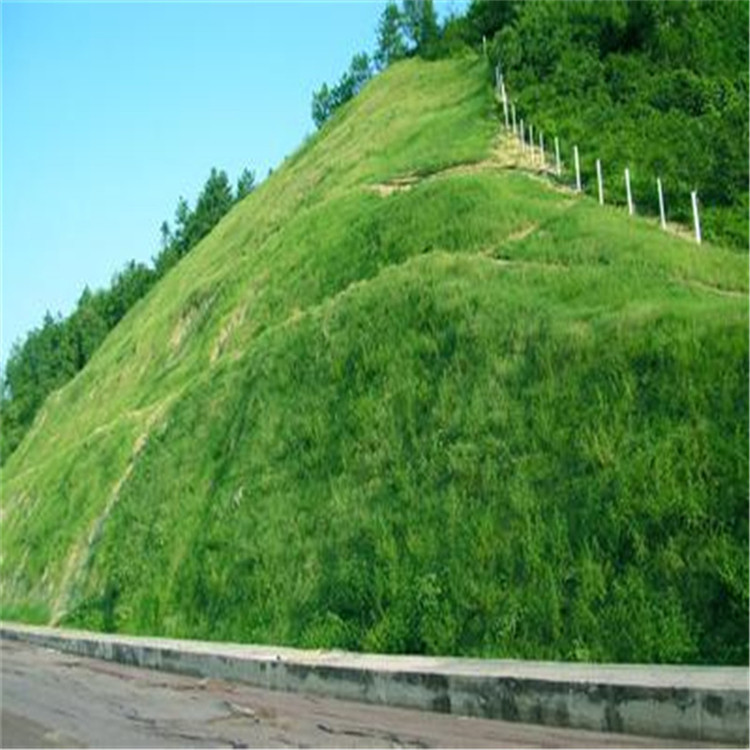 綠化護(hù)坡專用網(wǎng) 虎易網(wǎng).jpg