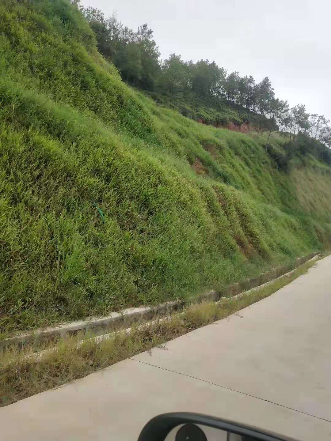 8aa8e1cf53f89fa0d5ef119810fd764.jpg 8aa8e1cf53f89fa0d5ef119810fd764.jpg